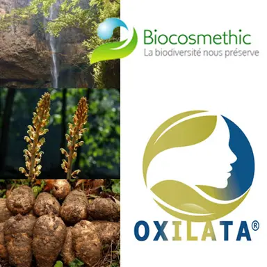 Oxilata de Biocosmethic : l'orchidée chinoise qui préserve le capital jeunesse de la peau
