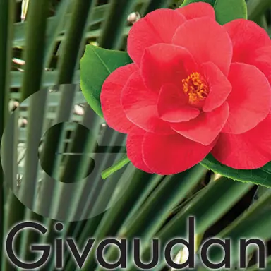 K-phyto™ [SC] Camellia de Givaudan : la puissance des cellules souches contre la sécheresse du cuir chevelu