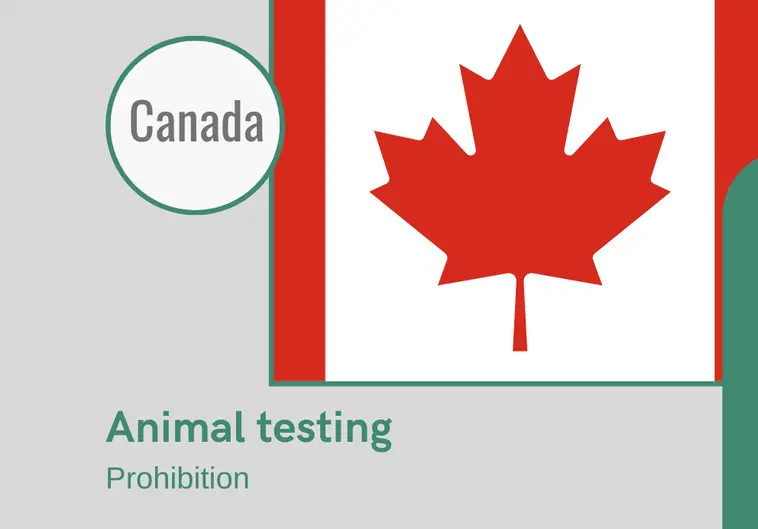 canada-announces-the-end-of-animal-testing-for-cosmetics-international