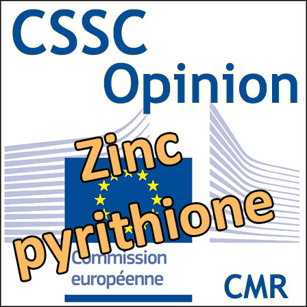 Zinc pyrithione : Opinion du CSSC