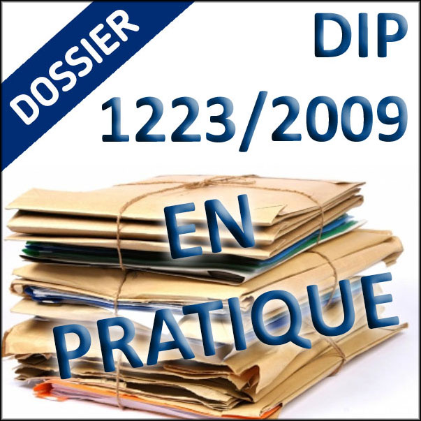 Dossier DIP pratique