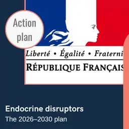 Perturbateurs endocriniens : la France publie son plan d’actions 2026-2030