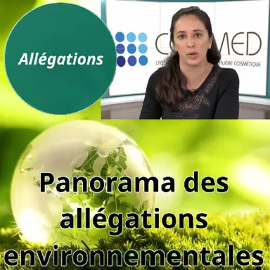 Les allégations environnementales à l'International