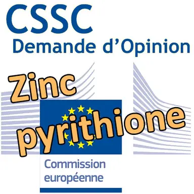 Zinc pyrithione : demande d'Opinion au CSSC