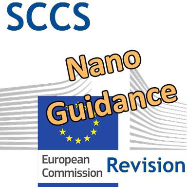 Évaluation de la sécurité des nanomatériaux : le CSSC révise ses lignes directrices