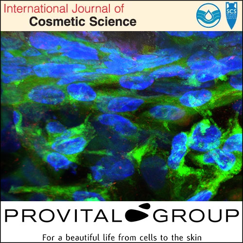Provital's artificial skin model for stretch marks