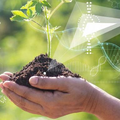 DN & Cosmétique : un consortium pour la traçabilité des ressources naturelles