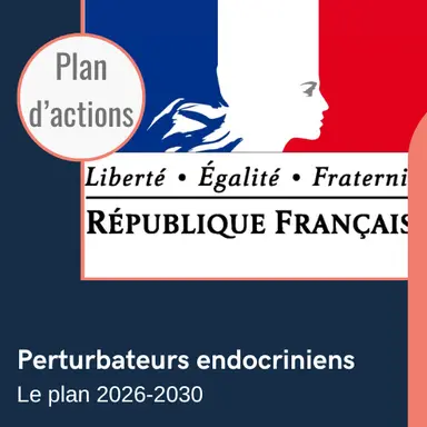 Perturbateurs endocriniens : la France publie son plan d’actions 2026-2030