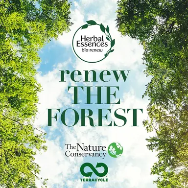 Herbal Essences et TerraCycle s'unissent contre la déforestation