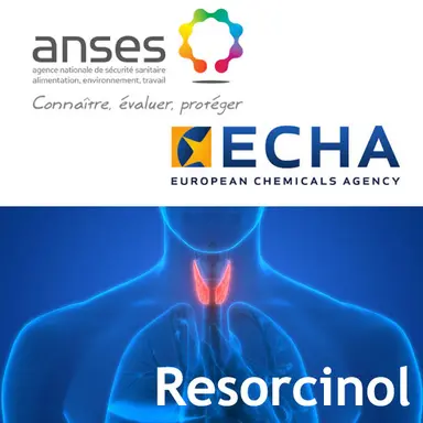 ECHA : le Comité des États membres ne valide pas la classification du résorcinol en SVHC
