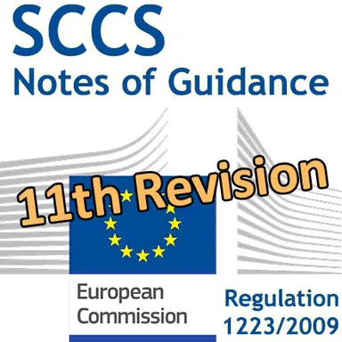Évaluation de la sécurité : 11e révision des lignes directrices du CSSC