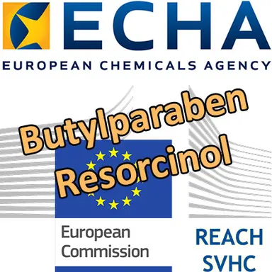 Butylparaben, Resorcinol : proposition d'identification en SVHC