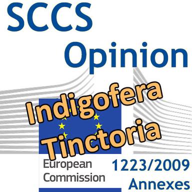Indigofera tinctoria : Opinion du CSSC
