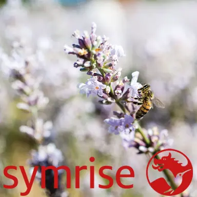 Symrise renforce sa division Fine Fragrance avec deux nouvelles acquisitions