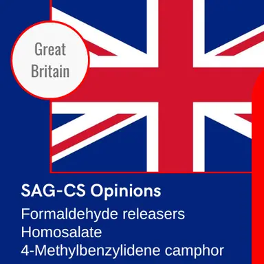 Libérateurs de formaldéhyde, Homosalate, 4-MBC : 3 Opinions du SAG-CS britannique