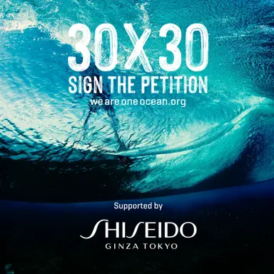 Shiseido s'engage pour la préservation des océans