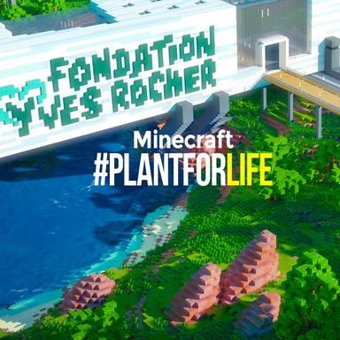 La fondation Yves Rocher se mobilise pour la reforestation
