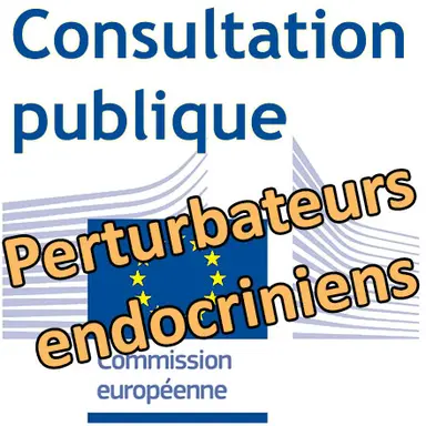 Consultation publique de la Commission européenne sur les perturbateurs endocriniens