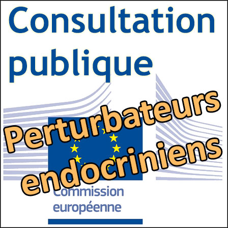 Consultation publique de la Commission européenne sur les perturbateurs endocriniens