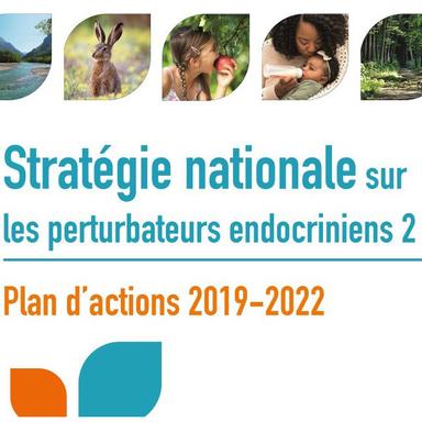 La France lance sa deuxième stratégie nationale sur les perturbateurs endocriniens