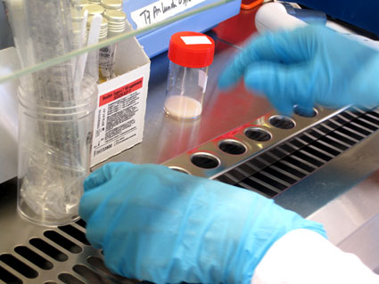 ... afin de réaliser des dilutions.
