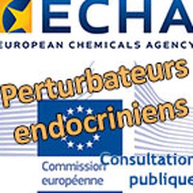 © CosmeticOBS-L'Observatoire des Cosmétiques