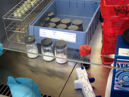 À t=0, les échantillons sont contaminés par inoculation de germes (ex : Escherichia coli, Candida albicans, Staphylococcus aureus...).