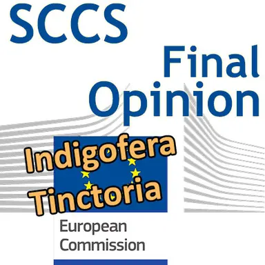 Indigofera tinctoria : Opinion finale du CSSC