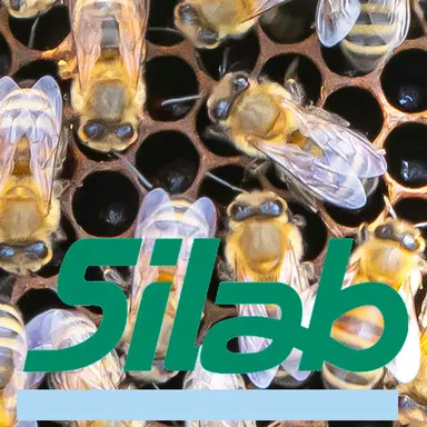 Silab initie un projet en faveur de la biodiversité locale