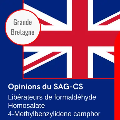 Libérateurs de formaldéhyde, Homosalate, 4-MBC : 3 Opinions du SAG-CS britannique