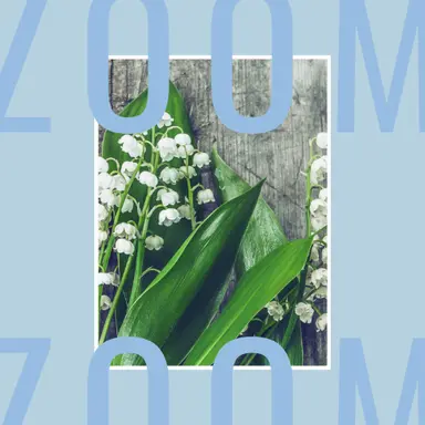 Une envie de muguet…