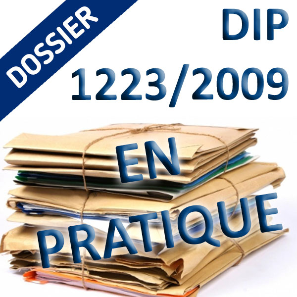 Dossier DIP Pratique