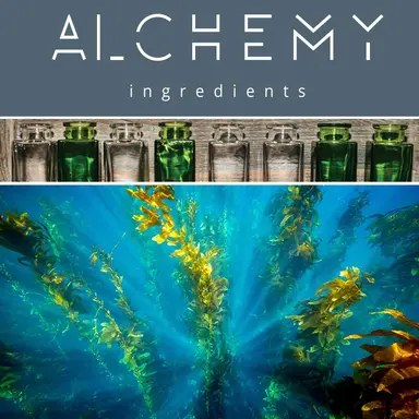 Clearthix S, le nouvel épaississant d'Alchemy Ingredients