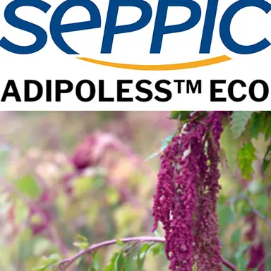 Adipoless Eco : une version naturelle de l'Adipoless de SEPPIC