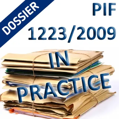 Dossier DIP pratique