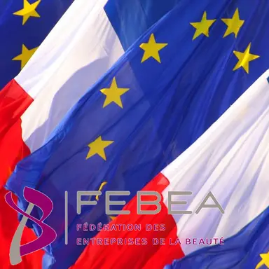 Présidence française du Conseil de l'Union européenne : les warnings de la FEBEA