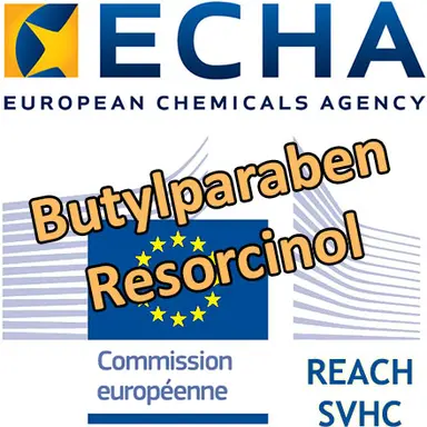 Butylparaben, Resorcinol : proposition d'identification en SVHC