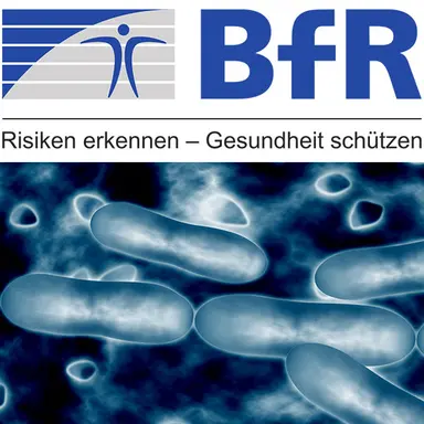 Le BfR alerte sur la présence de la bactérie Pluralibacter gergoviae dans les cosmétiques