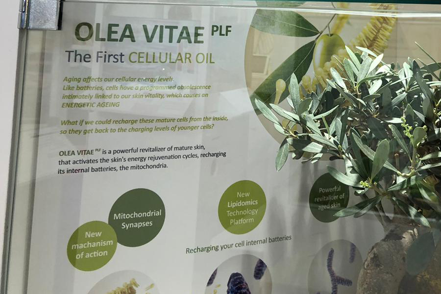 Active ingredients - Gold : Olea Vitae - Vytrus Biotech