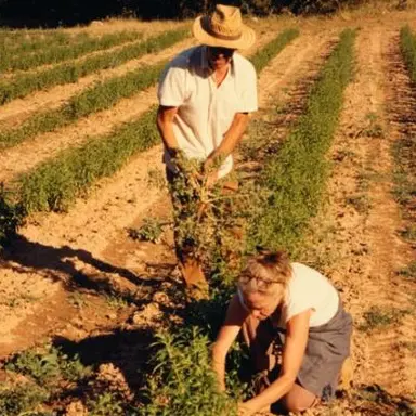 L'Occitane dévoile sa nouvelle stratégie en faveur de la biodiversité