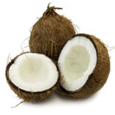 Cocos Metique Nucifera L Observatoire Des Cosmetiques L Ingredient Du Mois