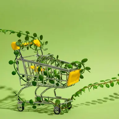 Distribution : l'heure est à la responsabilité