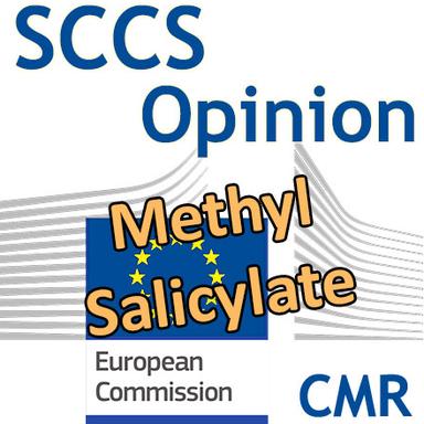 Methyl salicylate : Opinion préliminaire du CSSC