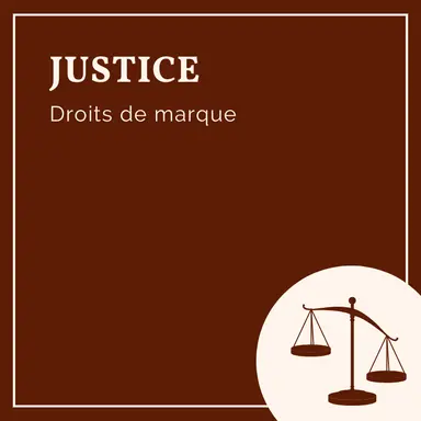 Illustration des effets de l’épuisement des droits de marque