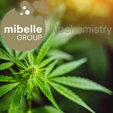 Lipobelle™ Pino C de Mibelle Biochemistry : bien plus que du CBD