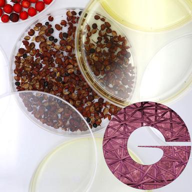 Zanthalene de Givaudan : un actif phyto-botox réconfortant
