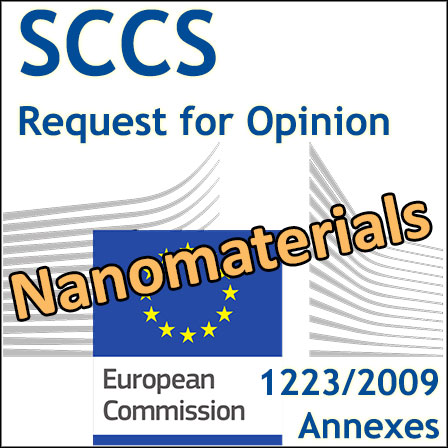 Safety of nanomaterials in cosmetics: request for a scientific advice to SCCS