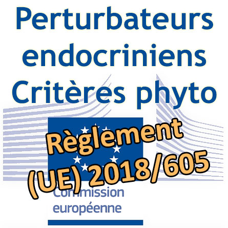 Logo Commission européenne