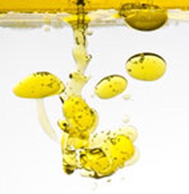© Filipe Varela ? fotolia.com