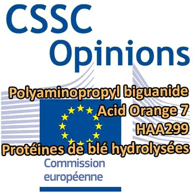 CSSC 6e plénière : 4 Opinions en consultation